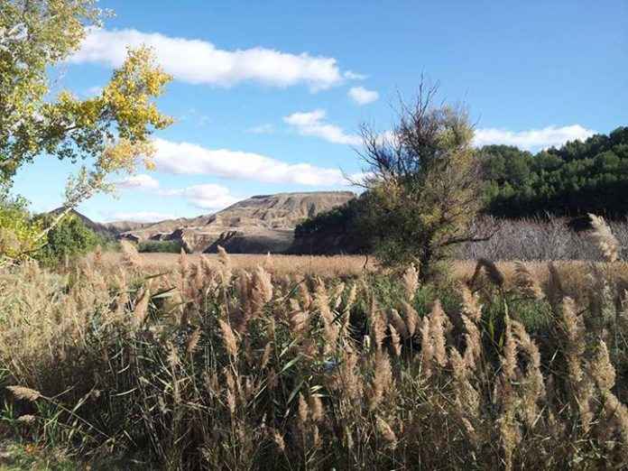 El cerro del Ecce Homo desde la ribera el río Henares - Ursula Cargill Garcia Zimmerm