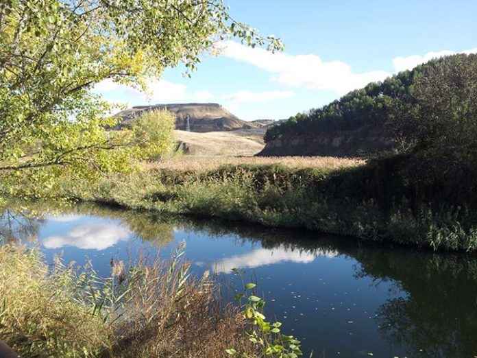 Ribera del río Henares - Úrsula Cargill García