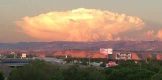 Hongo nuclear La Dehesa Alcalá de Henares