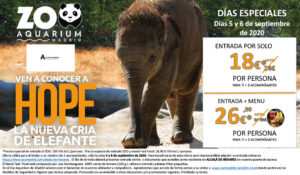 Precios especiales para el Zoo de Madrid si eres de Alcalá de Henares